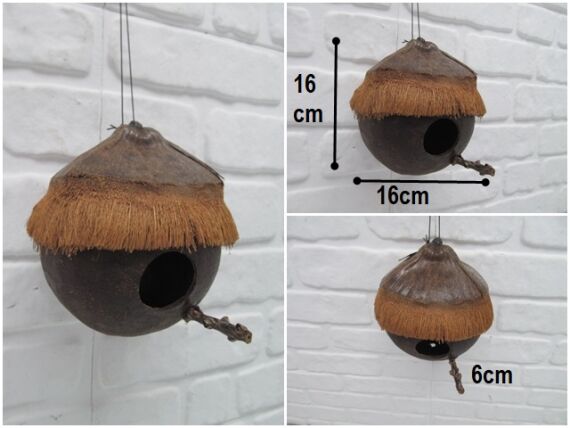 sd44413 coconat kuş yuvası - 1